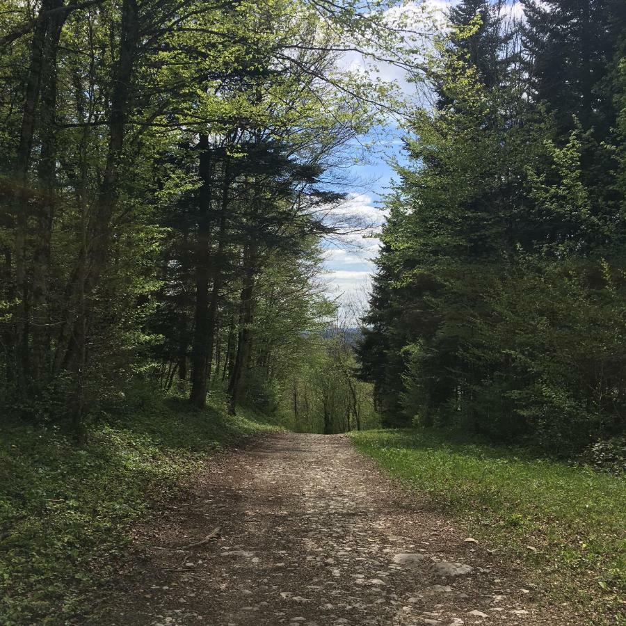 Gite La Janiat Montigny-sur-l'Ain Exteriér fotografie